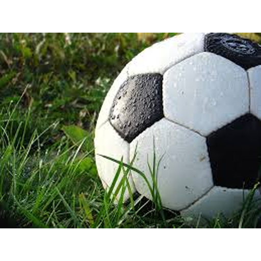 世界杯官网-FIFA World Cup 2026